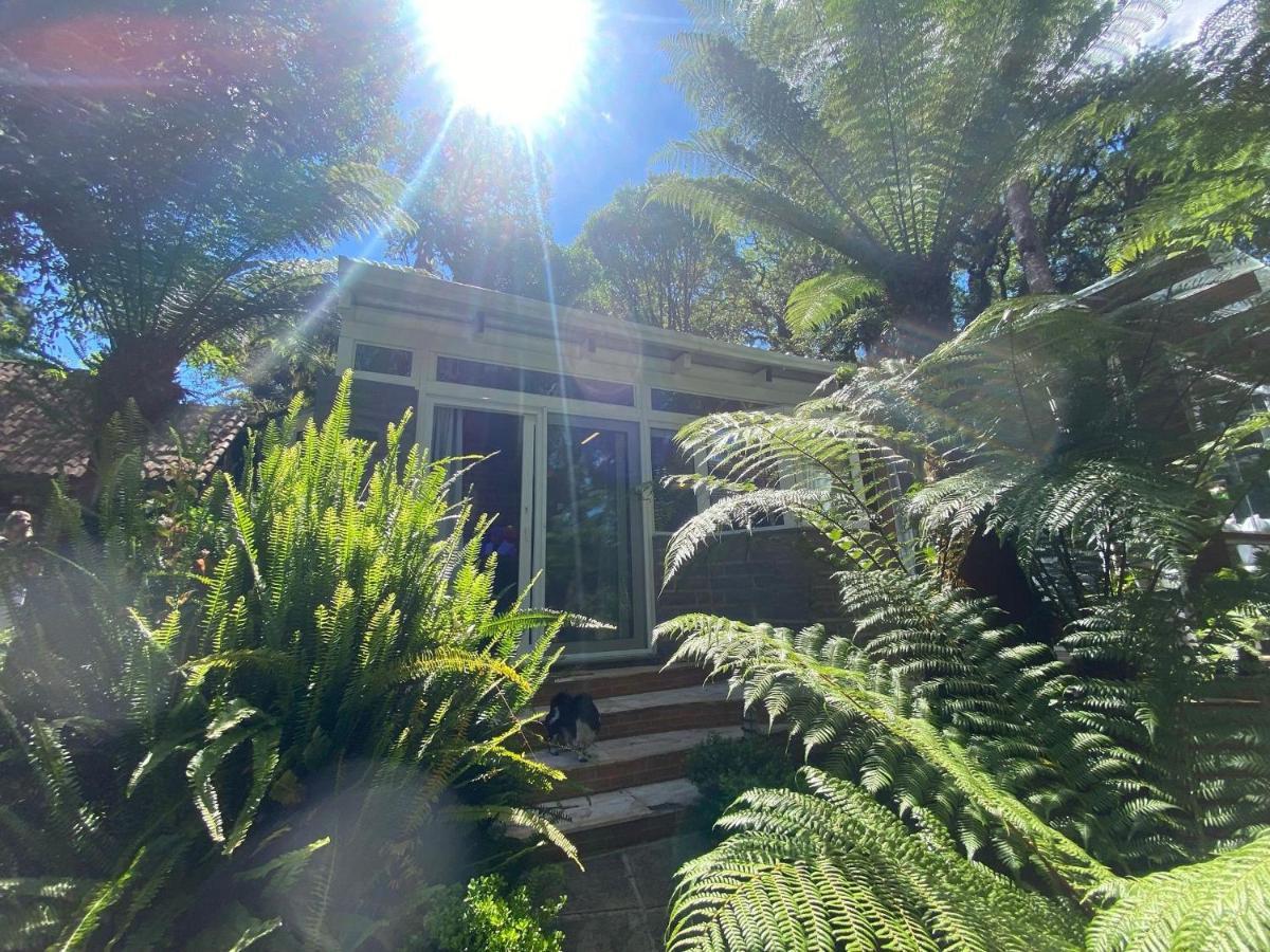 Lala Haus Gramado Villa Eksteriør billede